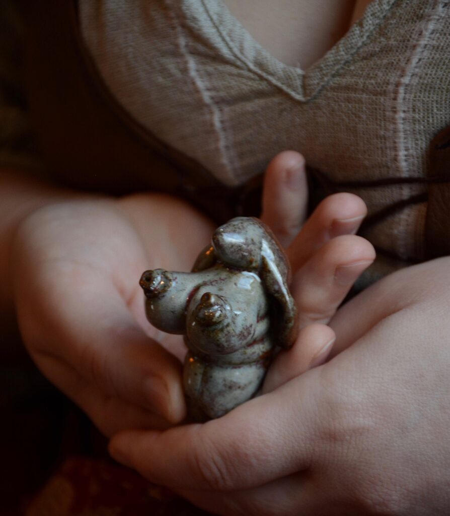 Pocket Rabbit Venus